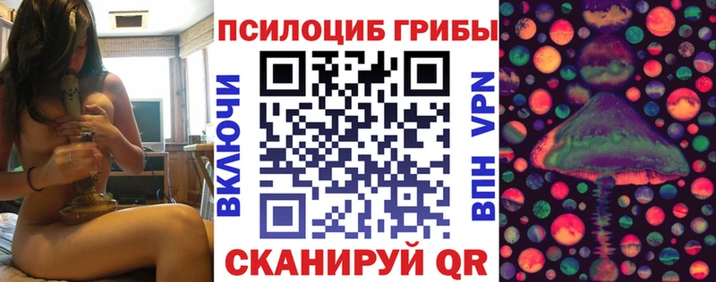 Псилоцибиновые грибы MAGIC MUSHROOMS Богучар